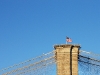 Brooklyn Bridge