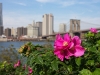 New York Skyline vom Brooklyn Bridge Park