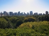 Central Park vom Dach des Metropolitan Museum of Arts