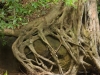 An einem kleinen Wasserfall am Strand