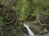 An einem kleinen Wasserfall am Strand