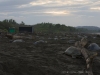 Schildkröten in Ostional