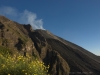 Stromboli, Sciara del Fuoco