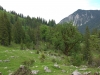 Am Weg zur Buchsteinhütte