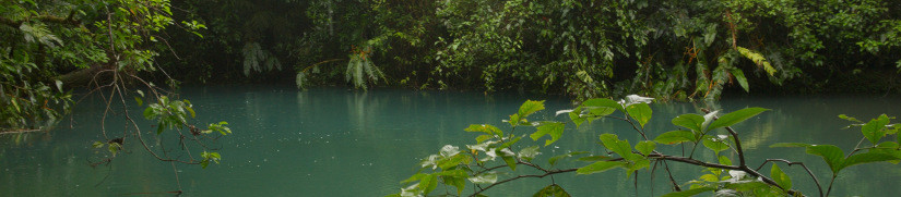 Costa Rica: Tenorio Nationalpark